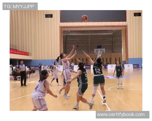 南京排球队总决赛精彩表现分析团队配合与战术执行的完美结合